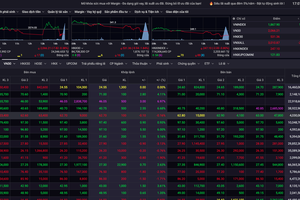 Thị trường chứng khoán Việt Nam khởi sắc đầu năm
