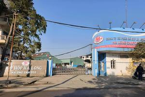 Vụ Đồ hộp Hạ Long: Khi lương tâm bị “đông lạnh” và cái giá của niềm tin