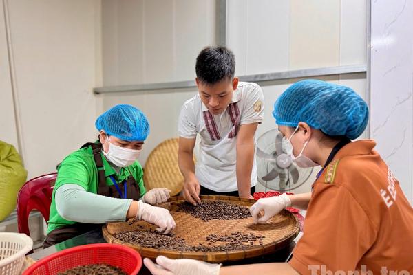 Đắk Lắk: Khi tăng lương tối thiểu trở thành lực đẩy đổi mới doanh nghiệp