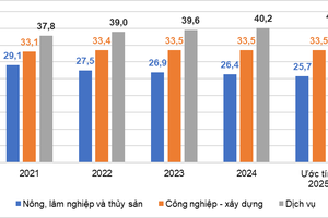 Thị trường lao động 2025: Quy mô việc làm tăng, thu nhập cải thiện mạnh