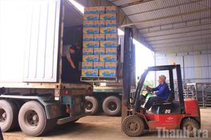 Nâng lương tối thiểu vùng, điểm tựa an sinh cho người lao động Đắk Lắk