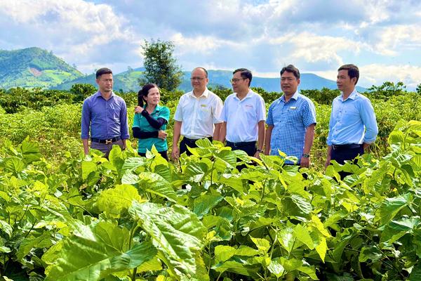 Nông nghiệp Đắk Lắk tăng trưởng xanh từ chuyển đổi số và bảo vệ môi trường