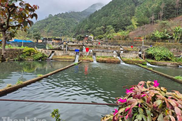 Chủ động ứng phó rét đậm, rét hại, gió mạnh trên biển