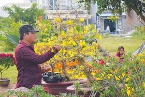 Đồng Tháp: Bảo đảm mọi nhà được vui Xuân, đón Tết Nguyên đán Bính Ngọ