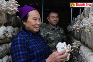 Nông dân được hỗ trợ sản xuất, kinh doanh nông sản, thực phẩm an toàn vì sức khoẻ cộng đồng