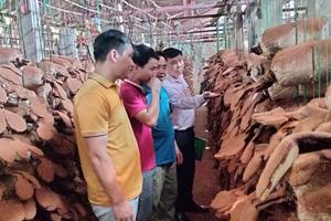 Thanh Hoá: Tín dụng chính sách- điểm tựa phục hồi sinh kế cho người yếu thế và người hoàn lương