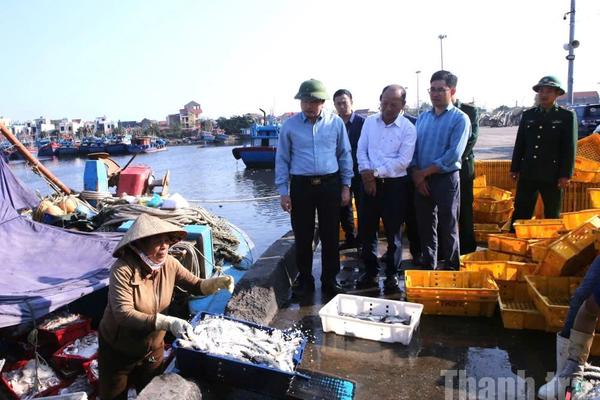 Thanh Hóa tăng cường kiểm soát IUU thông qua quản lý từ bến cảng