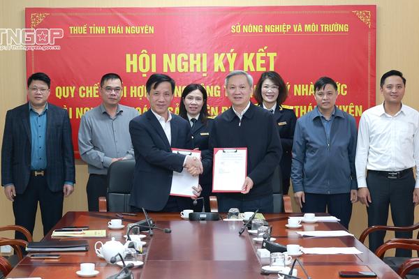 Thuế tỉnh Thái Nguyên và Sở Nông nghiệp và Môi trường phối hợp kiểm tra khoáng sản