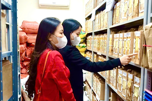 Thanh tra tỉnh Bắc Ninh chủ động phối hợp khai thác hồ sơ lưu trữ sau sắp xếp đơn vị hành chính