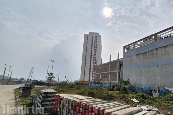 Doanh nghiệp phát tài, Lào Cai phát triển