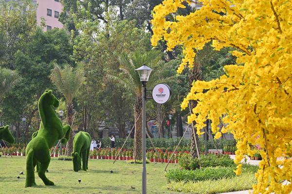 Phát Đạt Land chính thức hoàn thành bàn giao công trình cảnh quan tại Nhà thi đấu Phan Đình Phùng