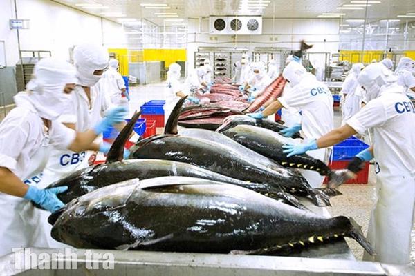 Thị trường bán lẻ Việt Nam lập kỷ lục