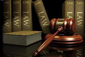 Rà soát và tổ chức thực hiện việc xử lý vướng mắc trong hệ thống pháp luật