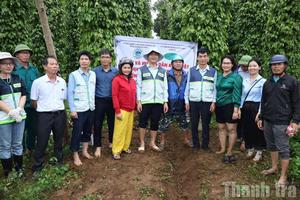 Khuyến nông Đắk Lắk đổi mới mạnh mẽ, hướng tới khuyến nông số và nông nghiệp xanh