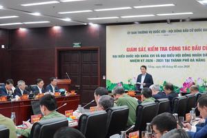 Đà Nẵng: Kiến nghị bầu cử sớm tại khu vực đặc biệt khó khăn