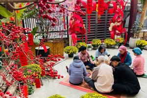 Xuân về trong những khoảnh khắc bình dị của tuổi già