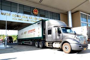 Chính phủ: Tạm dừng áp dụng Nghị định 46 về an toàn thực phẩm hết ngày 15/4