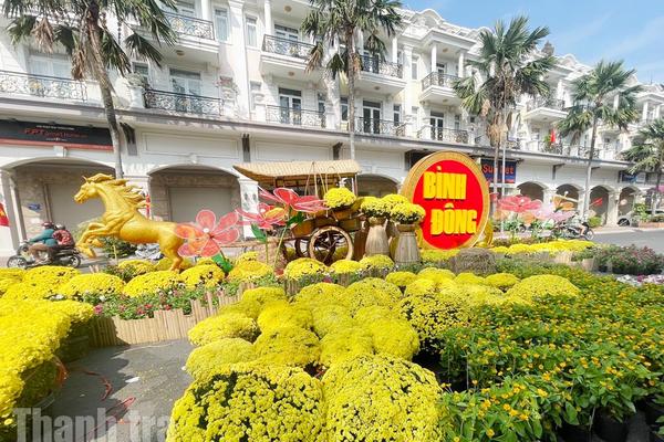 TP Hồ Chí Minh: Xuân về trên những chợ hoa