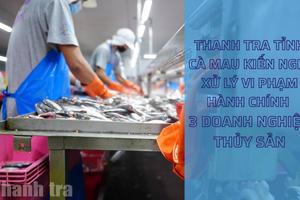 Cà Mau: Thanh tra tỉnh kiến nghị xử lý vi phạm hành chính 3 doanh nghiệp thủy sản