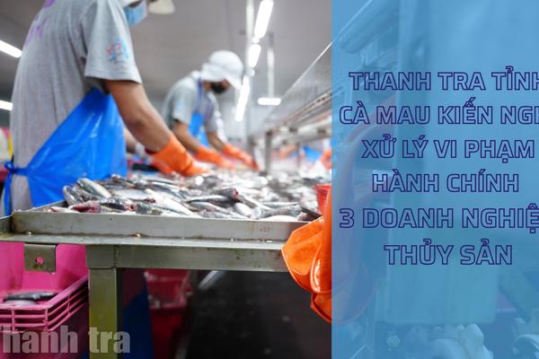 Cà Mau: Thanh tra tỉnh kiến nghị xử lý vi phạm hành chính 3 doanh nghiệp thủy sản