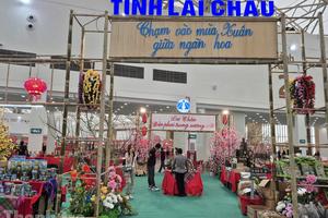 Lai Châu lan tỏa "Tinh hoa đại ngàn" tại Hội chợ Mùa Xuân 2026