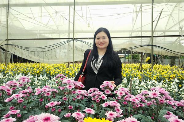 Hà Tĩnh: Làng hoa Toàn Lưu vào vụ Tết