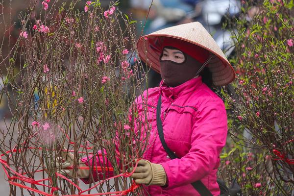 Thời tiết Tết Nguyên đán 2026 như thế nào ?