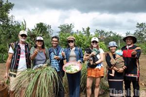 Đắk Lắk đặt mục tiêu thu 16.000 tỷ đồng từ du lịch năm 2026