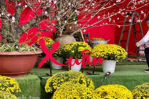 Cảnh sắc mùa Xuân 2026 dịu dàng trên từng góc phố Hà Nội