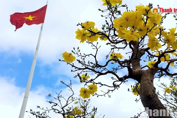 Vượt khó sau bão, nông dân mang hy vọng đến chợ hoa Xuân