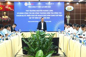 Thứ trưởng Bộ Công Thương Nguyễn Hoàng Long: EVNSPC đã chuẩn bị kỹ phương án bảo đảm điện dịp Tết Nguyên đán 2026