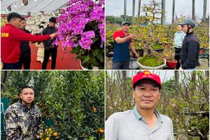 Những mùa Xuân theo nhau về phố