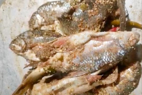 Đà Nẵng: Bệnh nhân nguy kịch nghi do ngộ độc sau khi ăn cá ủ chua