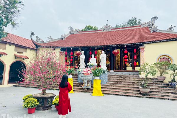 Gieo duyên lành mùa Xuân khi yêu thương bắt đầu từ những điều giản dị