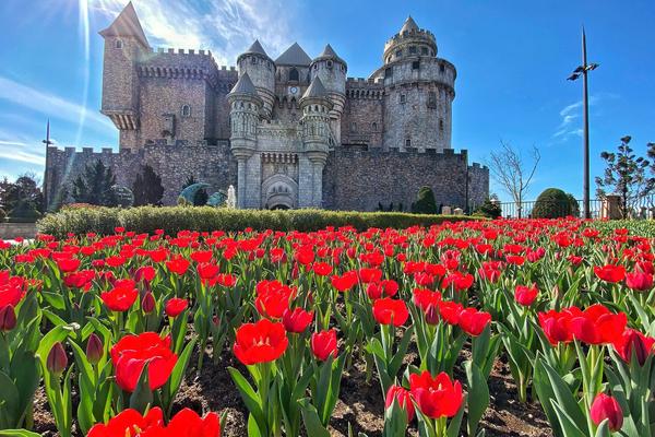 Ngỡ ngàng trước trải nghiệm “du lịch Hà Lan” ngay tại Bà Nà