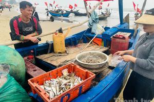 Thanh Hoá: Ngư dân ra khơi đón lộc biển Tết Nguyên đán Bính Ngọ