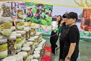 Thị trường mùng 5 Tết Bính Ngọ 2026: Giá cả ổn định, nguồn cung dồi dào