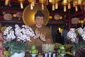 Chùa Cây thị: Chốn bồng lai giữa lòng di sản