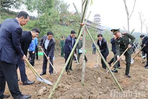 Thanh Hóa phát động Tết trồng cây đầu Xuân