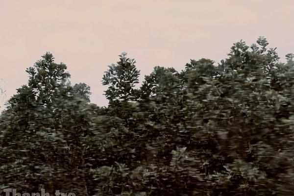 Ứng phó xâm nhập mặn, hạn hán, cháy rừng