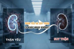 Thận yếu và suy thận có khác nhau không?