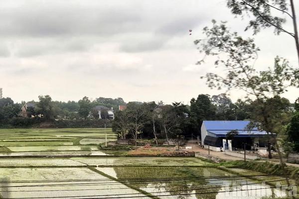 Lào Cai công khai loạt doanh nghiệp vi phạm pháp luật đất đai