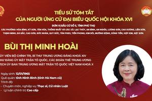 Bà Bùi Thị Minh Hoài ứng cử đại biểu Quốc hội khóa XVI tại tỉnh Phú Thọ
