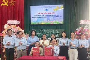 Thúc đẩy mô hình liên kết phát triển ca cao tại 4 xã phía Đông tỉnh Đắk Lắk