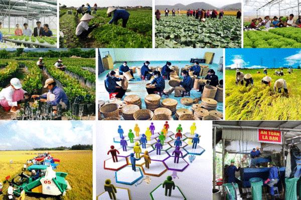 Kế hoạch hoạt động năm 2026 của Ban Chỉ đạo quốc gia về kinh tế tập thể