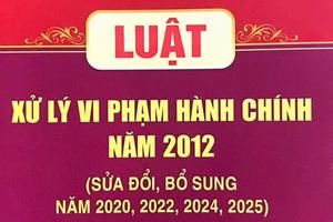 Đồng Tháp sẽ kiểm tra công tác thi hành pháp luật về xử lý vi phạm hành chính