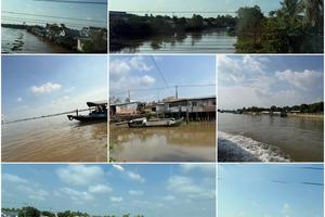 Đồng Tháp: Xử nghiêm vi phạm về đề điều và phòng, chống thiên tai