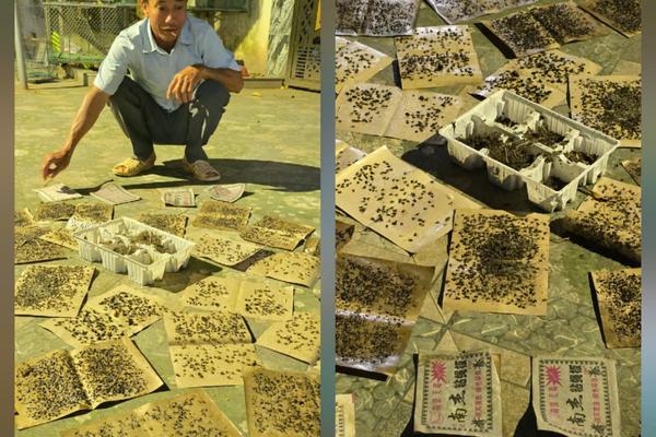 Kỳ 1: Khi cái tên "hạnh phúc" không còn là hạnh phúc