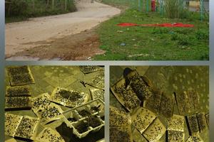 Kỳ 4: Nhà máy rác và phép thử quản lý môi trường