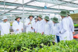 Nông nghiệp Đắk Lắk khẳng định vai trò trụ cột, tạo đà tăng trưởng kinh tế bền vững